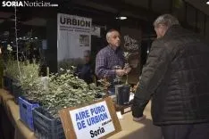Segunda jornada de Mercasetas.
