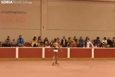  I Campeonato de Patinaje Artístico Ciudad de Soria. 