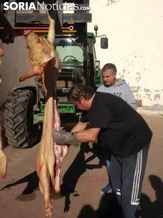 La feria de la matanza en Garray. 