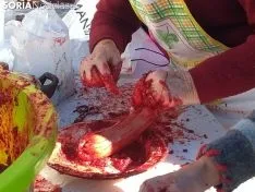 La feria de la matanza en Garray. 
