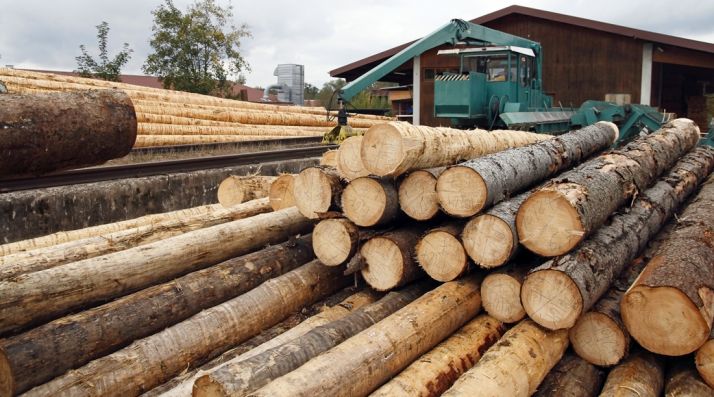 El Gobierno pone en marcha Lignum sistema estatal de información del comercio de madera en España