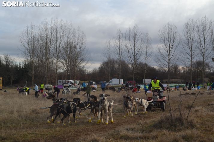 Galer&iacute;a de fotos: Los mushers y sus perros tiran de Ocenilla en la IV Spain Long Distance