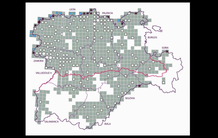 Distribución del censo regional de lobos. /Jta.