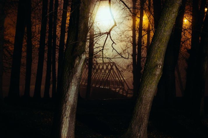 Luces y sombras para la Constitución 