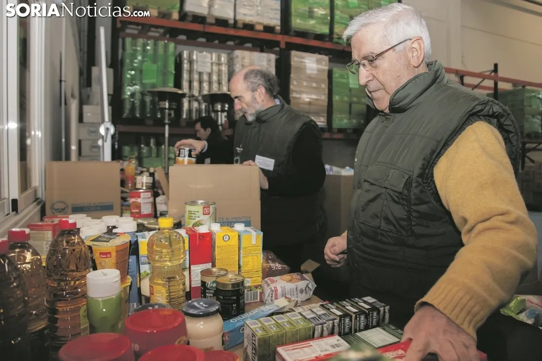 Labor contra el hambre en el Banco de Alimentos. María Ferrer