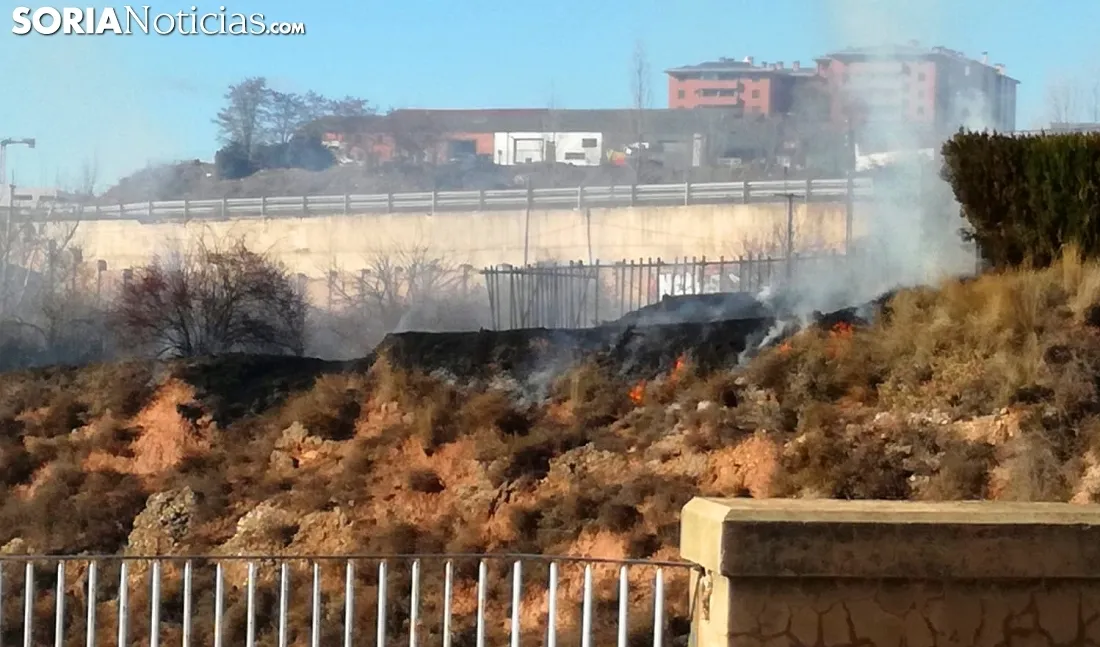 Foto 2 - Fuego en los terrenos sobre el Ca&ntilde;uelo