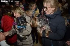 Una imagen de la bendición de animales. /SN