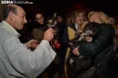 Una imagen de la bendición de animales. /SN