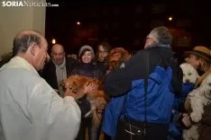 Una imagen de la bendición de animales. /SN