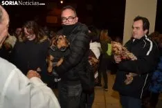 Una imagen de la bendición de animales. /SN