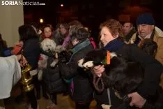 Una imagen de la bendición de animales. /SN