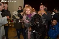 Una imagen de la bendición de animales. /SN