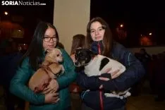 Una imagen de la bendición de animales. /SN