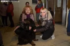 Una imagen de la bendición de animales. /SN
