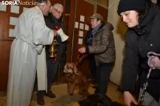 Una imagen de la bendición de animales. /SN