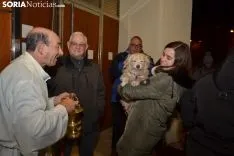 Una imagen de la bendición de animales. /SN