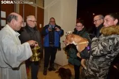 Una imagen de la bendición de animales. /SN