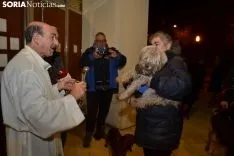 Una imagen de la bendición de animales. /SN