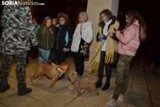 Una imagen de la bendición de animales. /SN