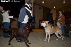 Una imagen de la bendición de animales. /SN