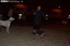 Una imagen de la bendición de animales. /SN
