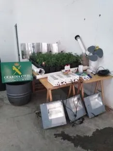 Foto 5 - La Guardia Civil desmantela una plantaci&oacute;n indoor de marihuana en San Leonardo 