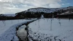 Los pueblos sorianos se visten de blanco.