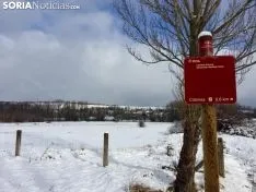 Los pueblos sorianos se visten de blanco.