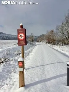 Los pueblos sorianos se visten de blanco.