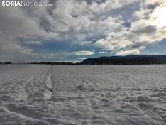Los pueblos sorianos se visten de blanco.