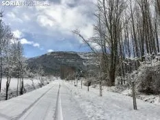 Los pueblos sorianos se visten de blanco.