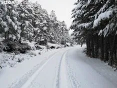 Los pueblos sorianos se visten de blanco.