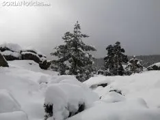 Los pueblos sorianos se visten de blanco.