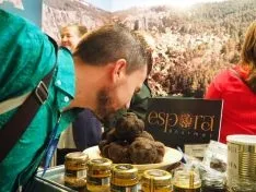 Una imagen de la presencia soriana en el evento internacional este lunes. /Dip.