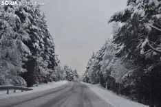 Los pueblos sorianos se visten de blanco.