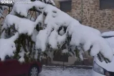 Los pueblos sorianos se visten de blanco.