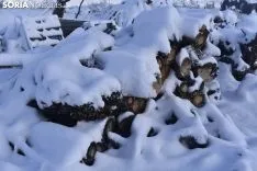 Los pueblos sorianos se visten de blanco.