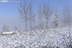 Los pueblos sorianos se visten de blanco.