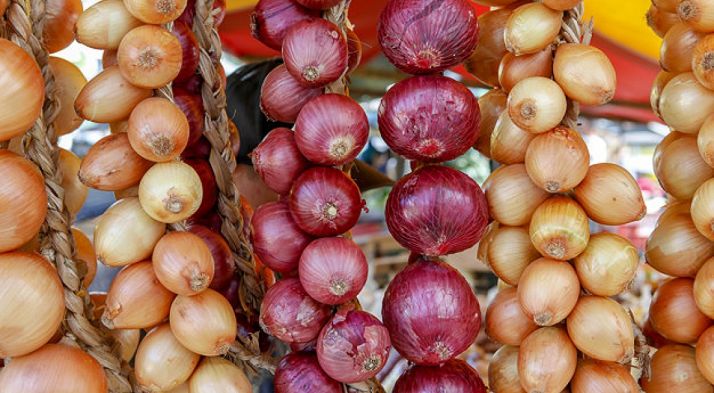 La Junta aumenta un 50 % la ayuda para mejorar la formación de los sectores agrario, forestal y agroalimentario