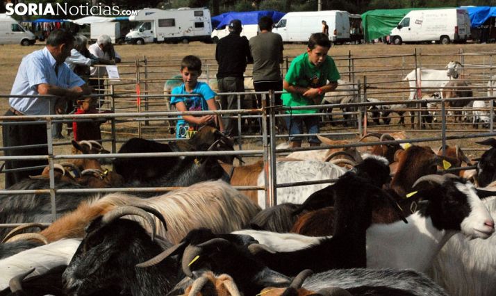 Una feria ganadera en Vinuesa. /SN