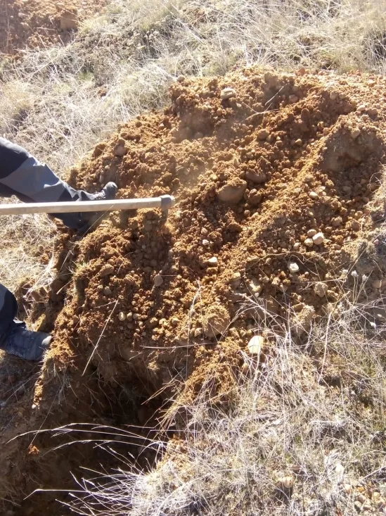 Actividad medioambiental en Valonsadero. Cedida 