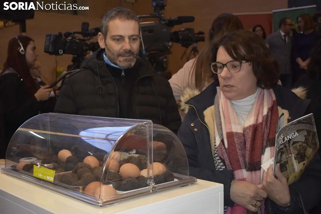 Feria de la Trufa Negra de Soria en Abejar. 