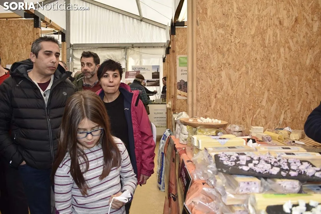 Feria de la Trufa Negra de Soria en Abejar. 
