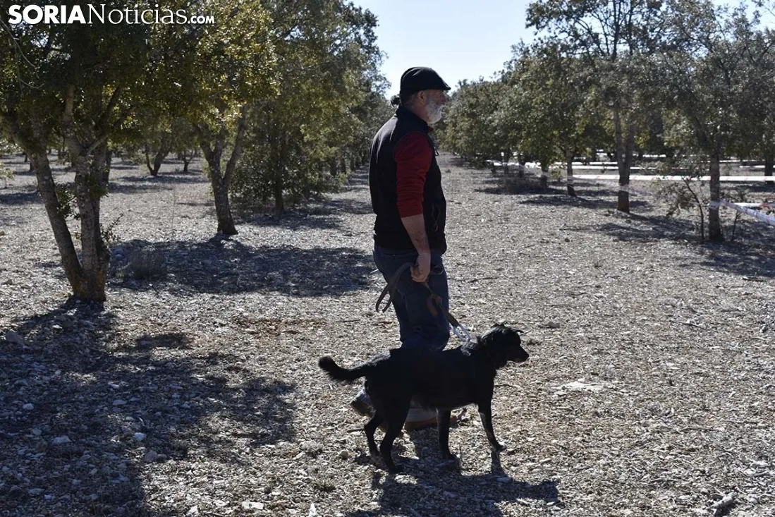 Concurso de Caza de Trufa con Perros. /EM