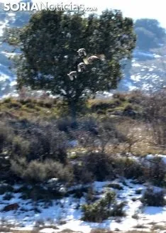 Una imagen de la mañana de este martes en un paisaje de la provincia. /SN