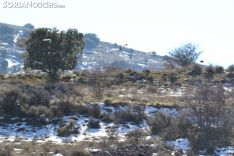 Una imagen de la mañana de este martes en un paisaje de la provincia. /SN