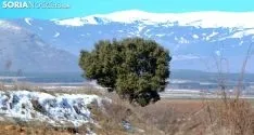 Una imagen de la mañana de este martes en un paisaje de la provincia. /SN