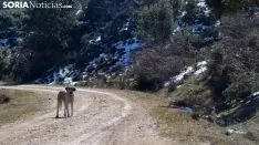 Una imagen de la mañana de este martes en un paisaje de la provincia. /SN