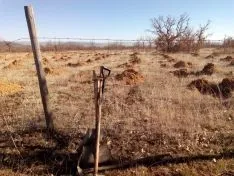 Actividad medioambiental en Valonsadero. Cedida 