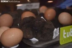 Feria de la Trufa Negra de Soria en Abejar. 
